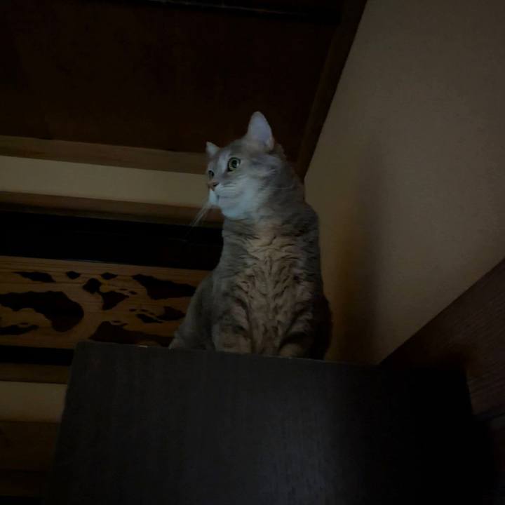 Dbcc05a0 c309 4faa b11a a4b6699e5389 1756362002728