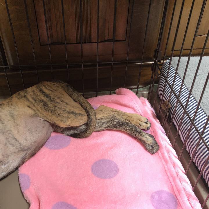 Dbcc2640 bb42 4800 805e 66cf8eccf267 1570025110810