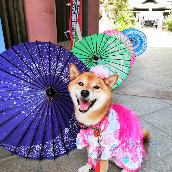 Dbcc36f8 76f5 4c48 8bd4 ae5b51e1b21f 1628079961237