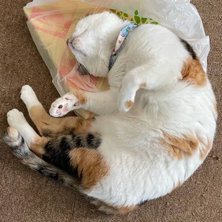 Dbcc546e 020a 486d b71e 737186020ac7 1695528139529