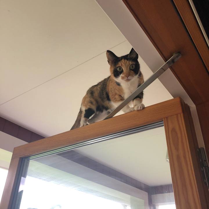 Dbcc87e8 f95c 43e9 a07e 68c8611691cc 1621243717995