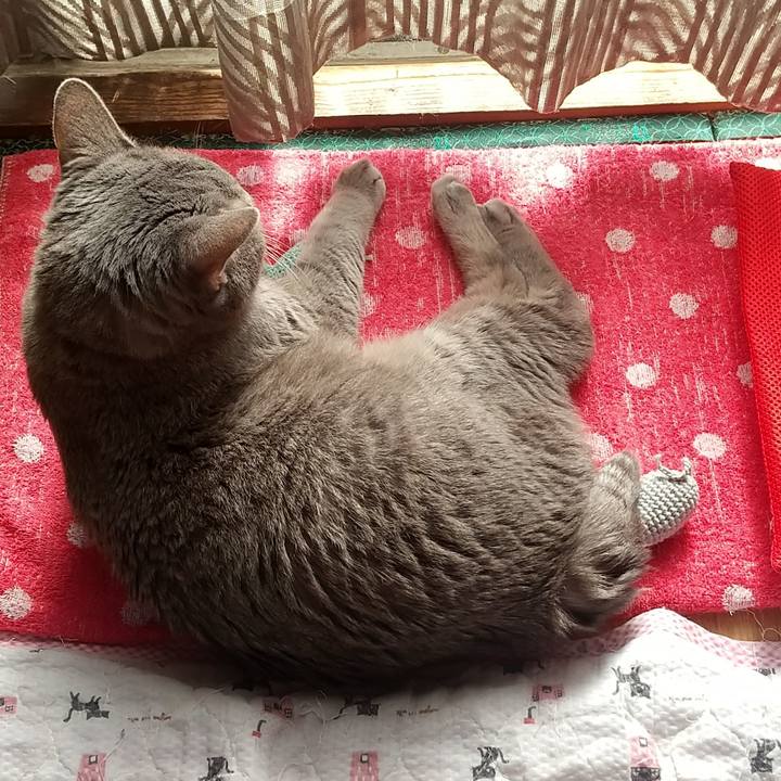 Dbccca08 34fc 480a 89b2 285849e025ce 1668216044151