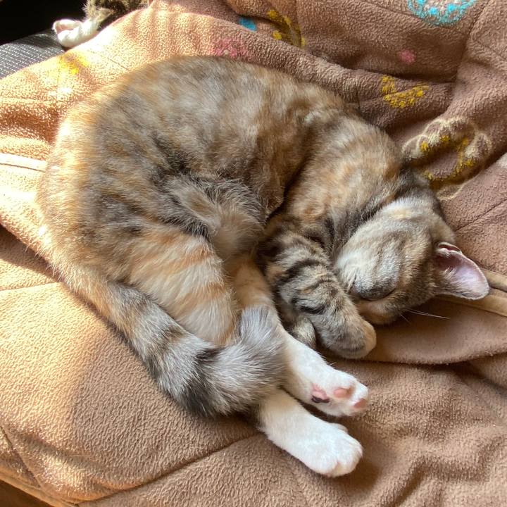 Dbcccba7 b57a 4c94 802a d766ed2f16f8 1583208486077