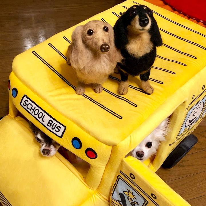 Dbccce19 99dc 4a5f 8e25 f34b3c97e762 1535378830262