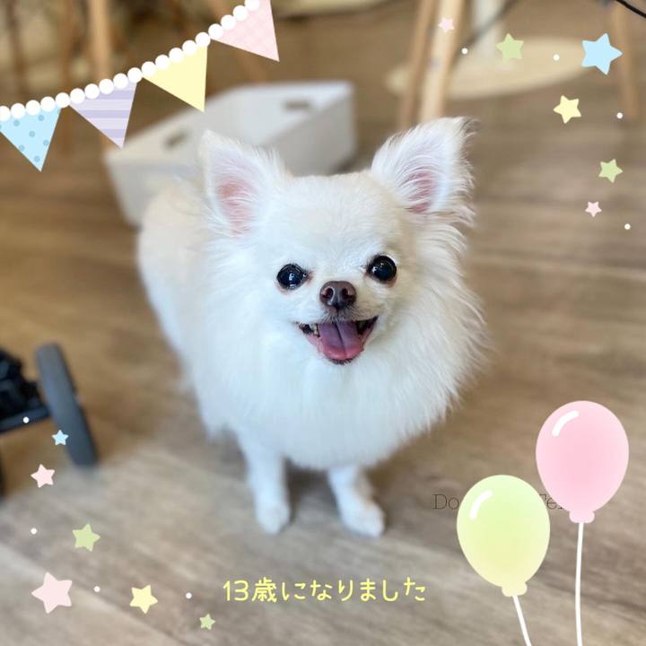 Dbccd632 e00e 45a4 b607 e744b9d18ba8 1727215024022