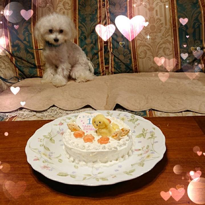 Dbcd201e ffea 4313 891c bce74f365a83 1574255412478