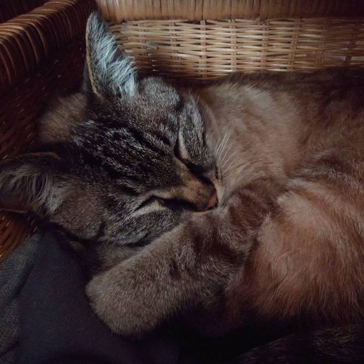 Dbcd24bc 0869 44e9 9f5b 0fdc6984b2ca 1749164485500