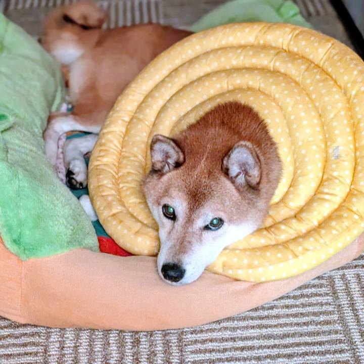 Dbcd3600 9562 49d2 a06b b0f258900702 1758599362572