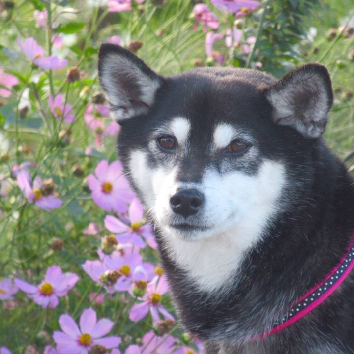 Dbcd7a8e ef63 4a10 9004 260ce88c4f7a 1602376814778