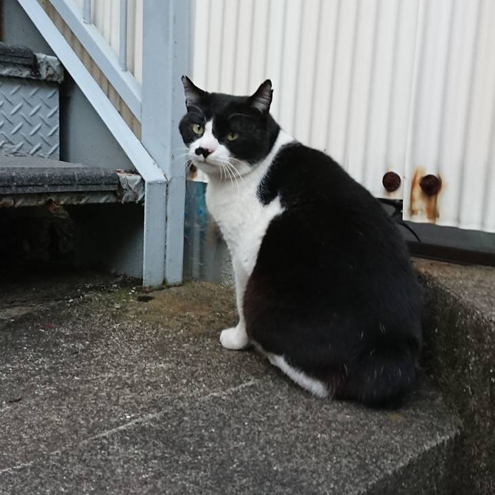 Dbcd8b4d 4610 4487 9a1b 2a235a2aef58 1544892581348