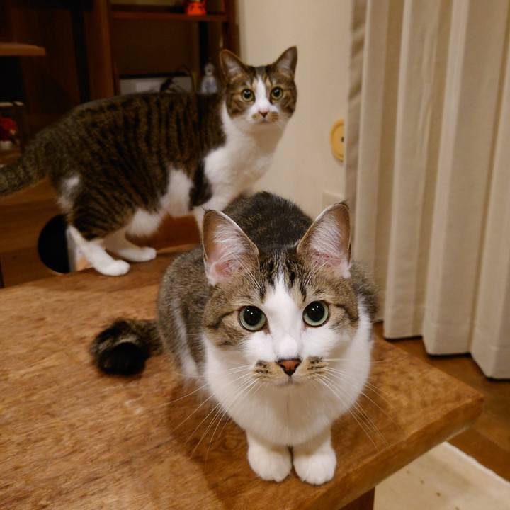 Dbcda66a 5760 4b8c a5b8 3e23d851e505 1743438620766