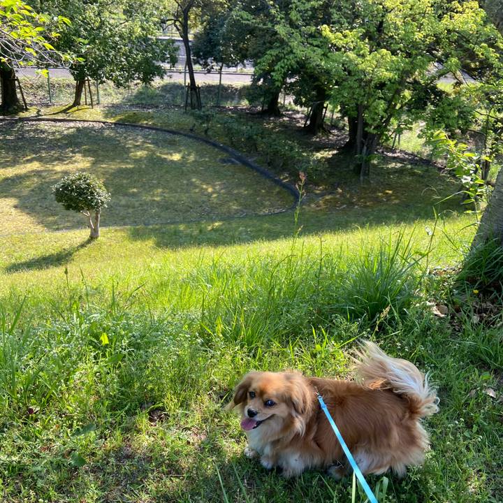 Dbcdb30f d4bb 40c2 8238 a83d97414385 1588118685349