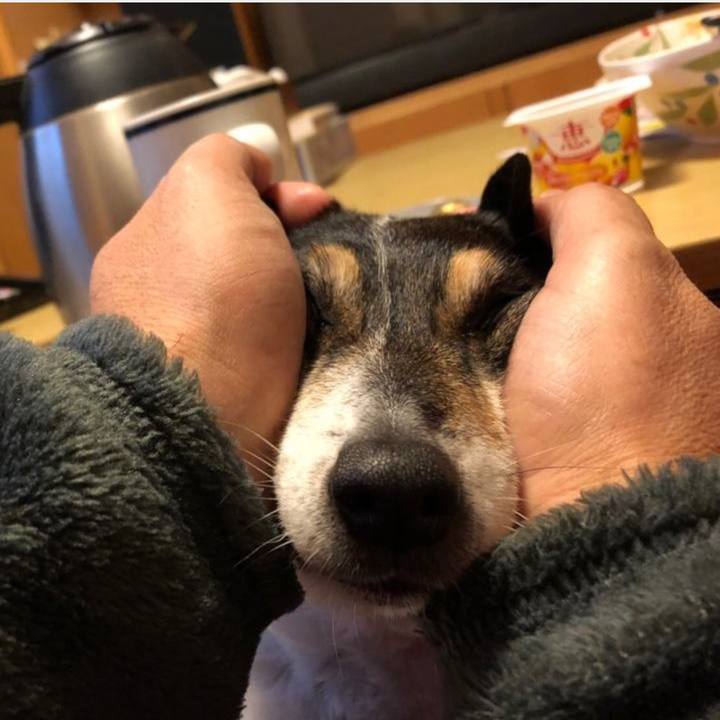 Dbcdf409 aba1 4e99 b359 c8f1947add9e 1769824742351