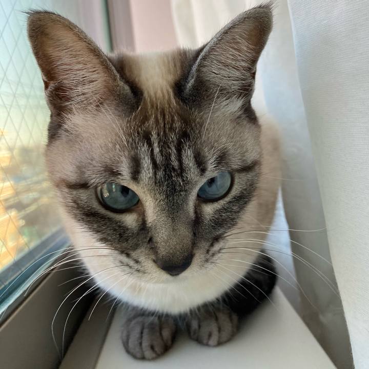 Dbce109d aad0 4d5d 9793 110bacd56b9f 1613867515740