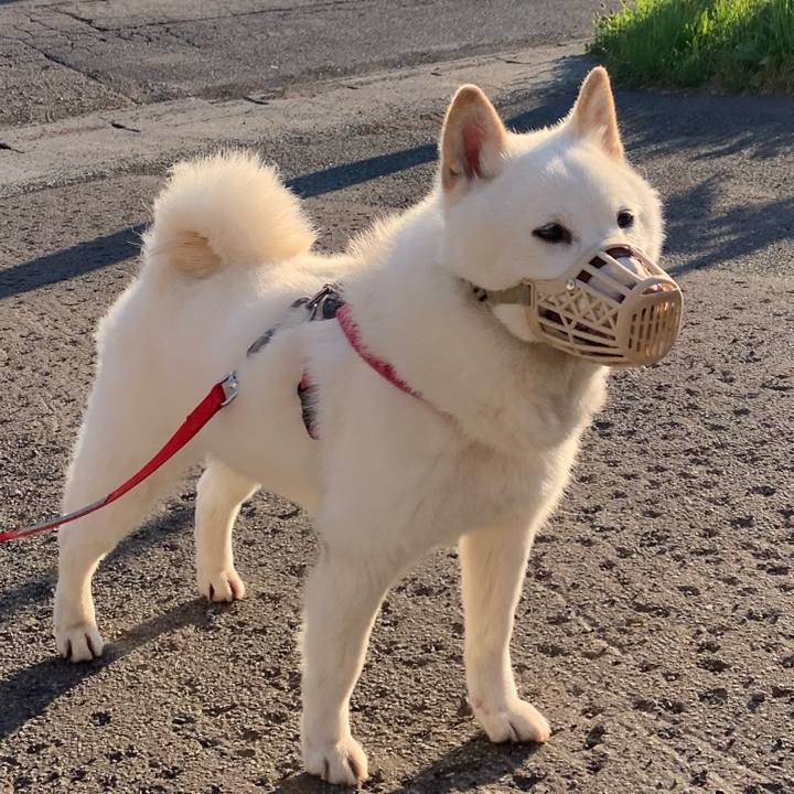 Dbce14cc 576e 40c5 9468 efb1f6a41ffe 1590439899333