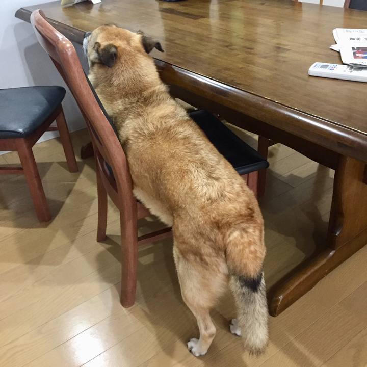 Dbce3e9d be9e 4ec6 8a34 1ffd217ff1a4 1574291385445