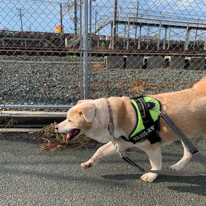 Dbce553c a6e8 48e9 ac67 295835694d5e 1600644616922