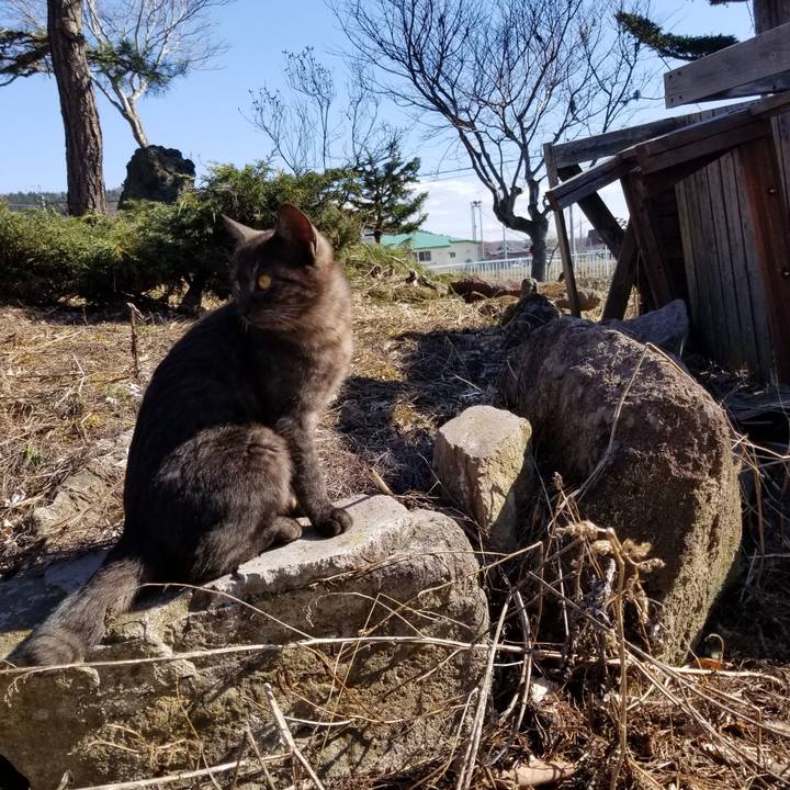 Dbce6dad 1cf0 4dfb b6f0 159d01d6f5ae 1588235251859