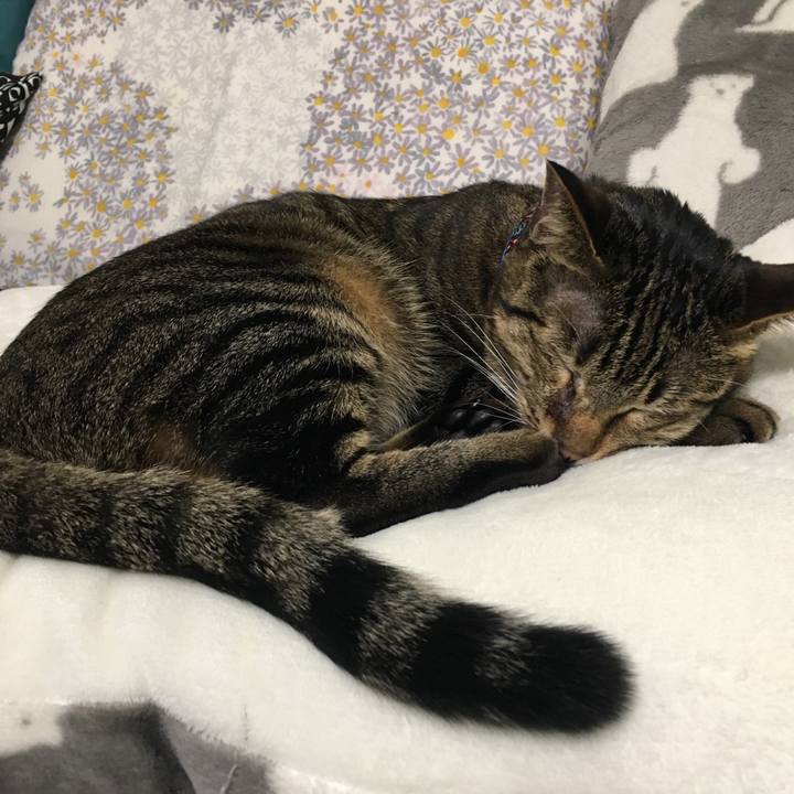 Dbce94c6 aa71 4d66 b1f7 feec71b2cab7 1549889615588