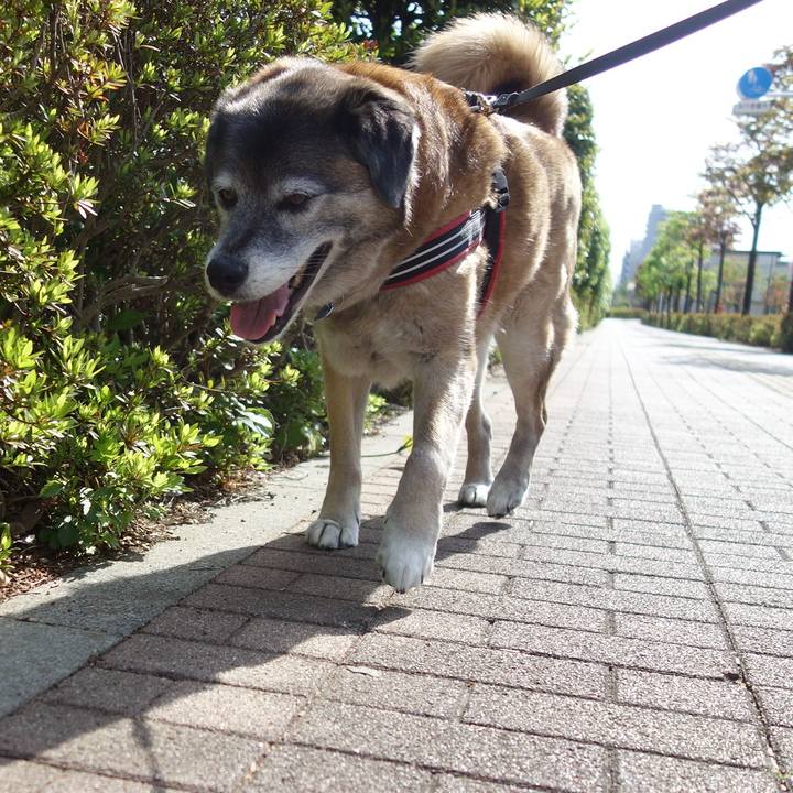 Dbced5df 32a8 4e81 ba5a a9d596348a5c 1556498381616