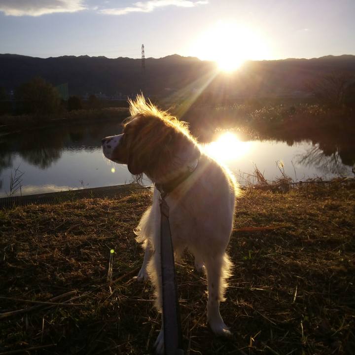 Dbced6dd d268 45e2 a12c 55a8e772a6a0 1514955899476