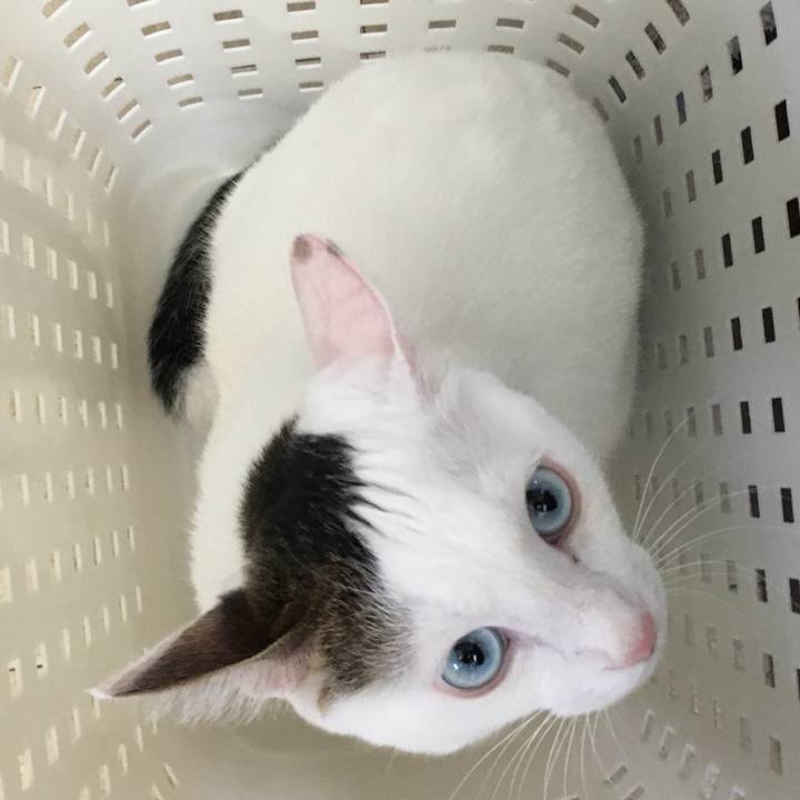 Dbcef735 ed67 49b7 a08c a95ad54174de 1507772267679