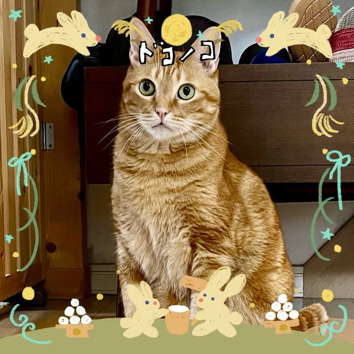 Dbcf0b4e 64f1 4d93 b1dd f05a9afc0b8a 1726985312959