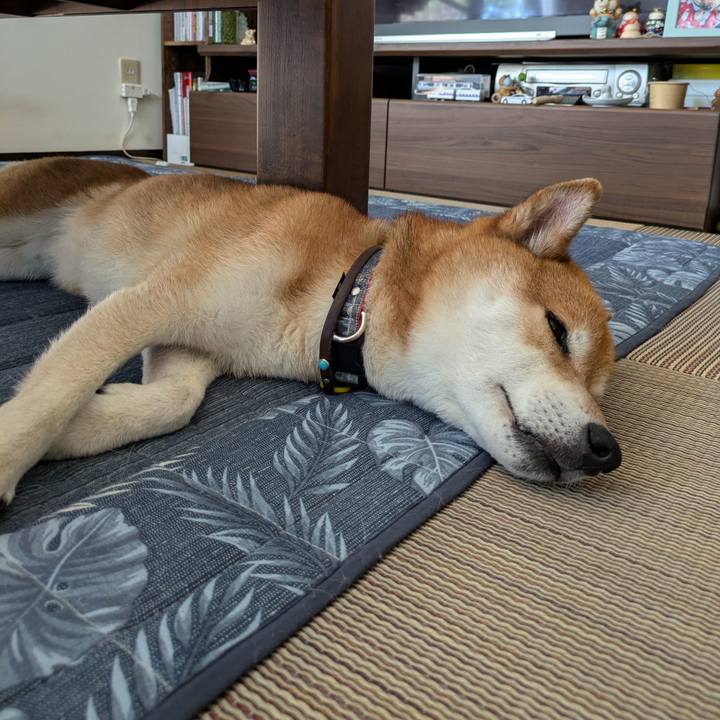 Dbcf0f1e e674 47e7 a9cd ad9f0d91a3fb 1721731623989