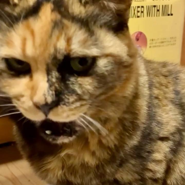 Dbcf0f6b c99c 41ce 8caf 30c12a06f282 1741062962692