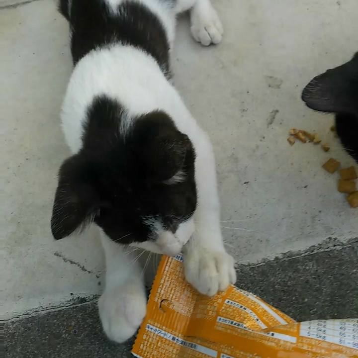 Dbcf2af3 b96a 43a8 8fbf 81e921b154ff 1532433210457