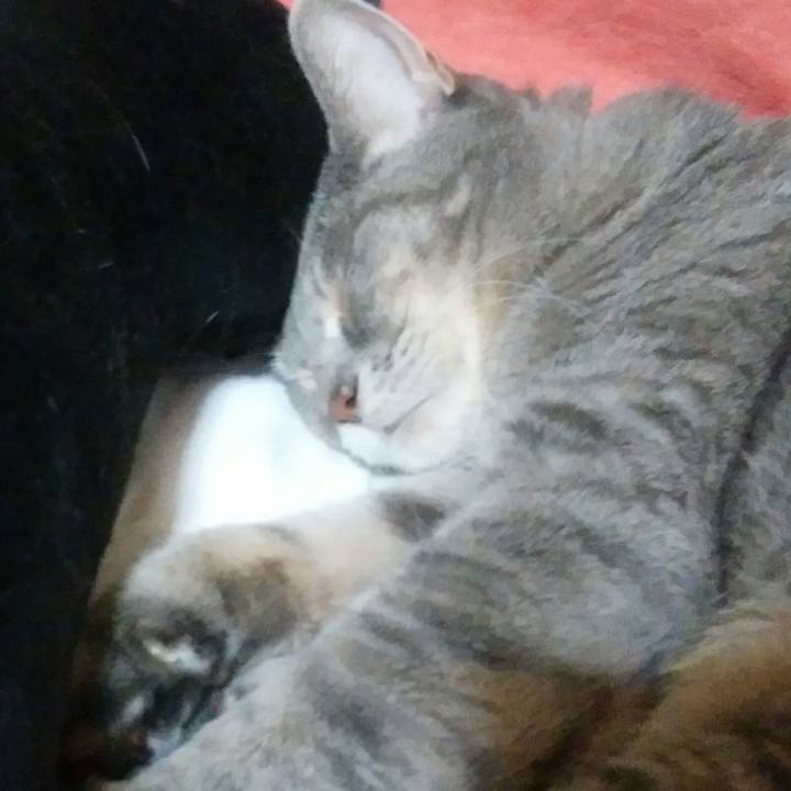 Dbcf3984 1998 4d3d b5cc 7ea0d37b1003 1537095317853