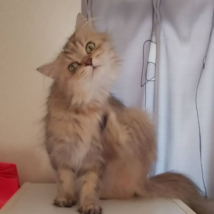 Dbcf6da8 d932 437f ba1d 249162471f3b 1627466011034