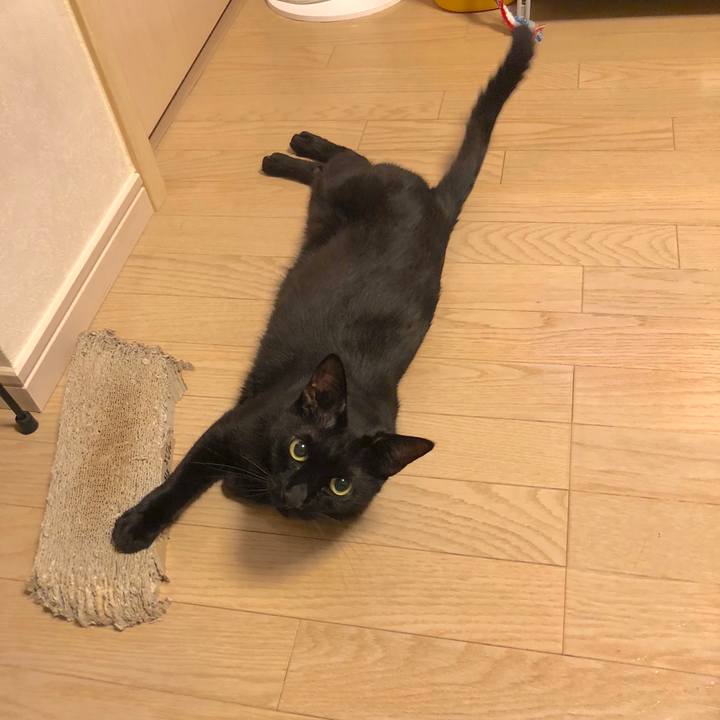 Dbcfa5e5 a6bb 4762 8709 057114374948 1530192362670