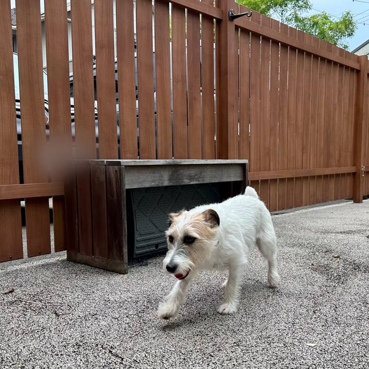 Dbcfab76 b3f9 44de a034 8078beab025f 1757827860648