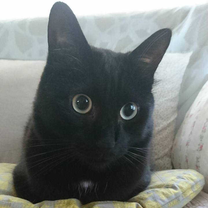 Dbcfb823 11d5 458d a5cc 2ba068c799fe 1571538767951