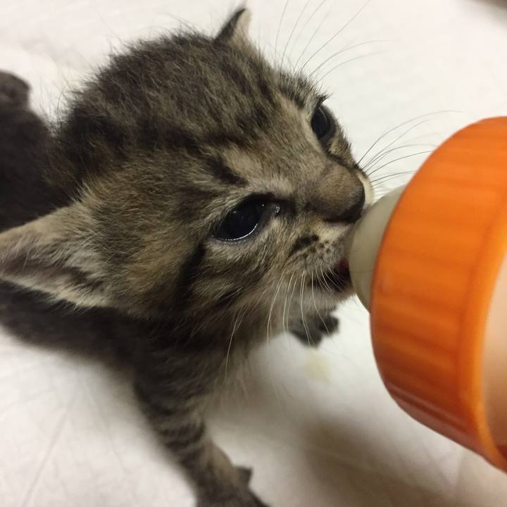 Dbcfd0a3 a4db 45e8 ba81 5172cc77b379 1532013656487