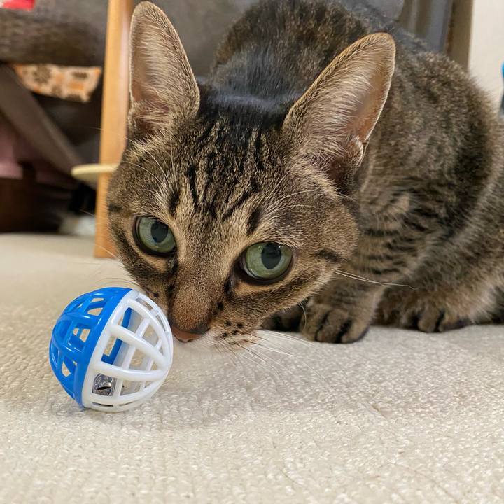 Dbcfd5e9 4c26 4d85 8ebb a24d447979e7 1767937868071