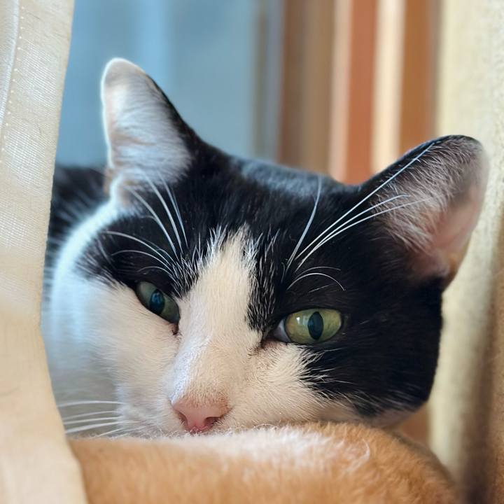 Dbcfdd06 46a4 4700 b705 8ad2406150e6 1702087446654