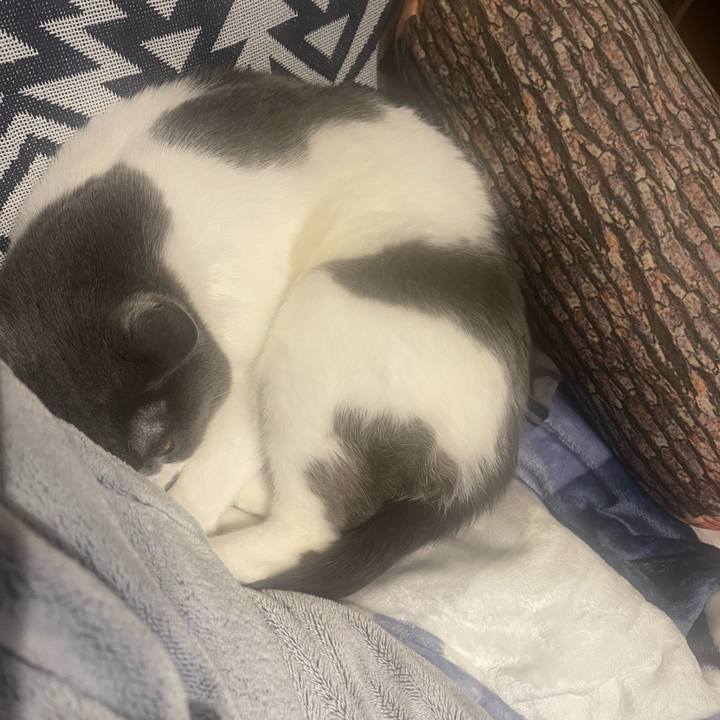 Dbcfde50 9802 4c42 82d9 a4023c12fc98 1677058516022