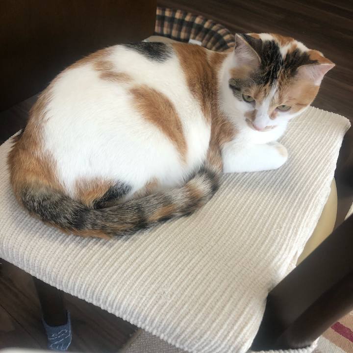 Dbcffbc7 249a 4591 871b daa8bb556760 1587684617676