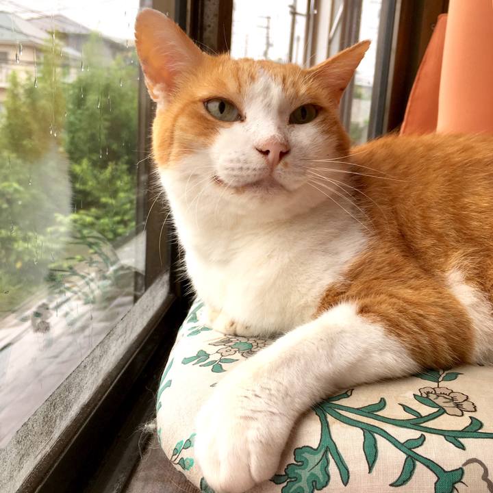 Dbd004c9 066b 4ae9 a21d a0ffb9770be2 1566530267395