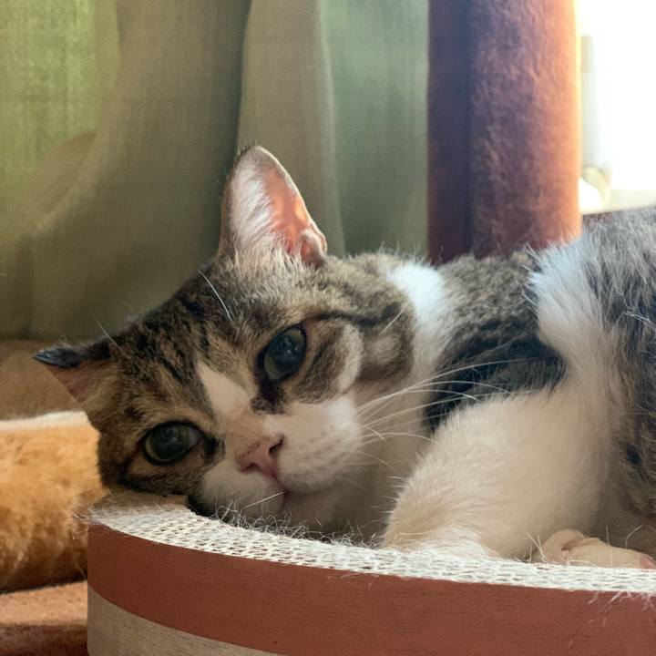 Dbd0221a 1f3a 4d9e 9dcb bf9cdeab81a8 1693959055585