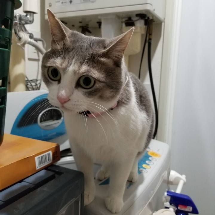 Dbd06897 1ecb 4259 82ce f46821f5c607 1583051833638