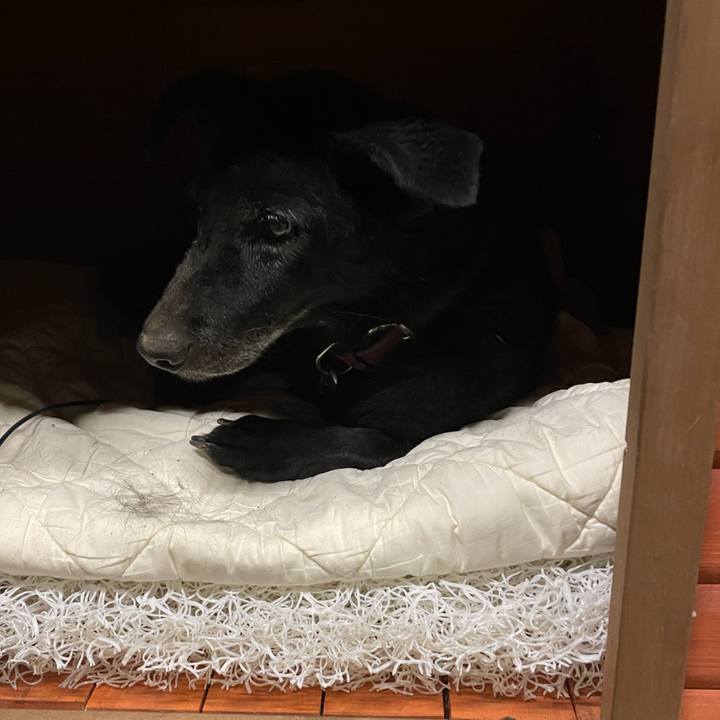 Dbd06cfb 3cb2 44af 8d8e 861de4c25be7 1659258411902