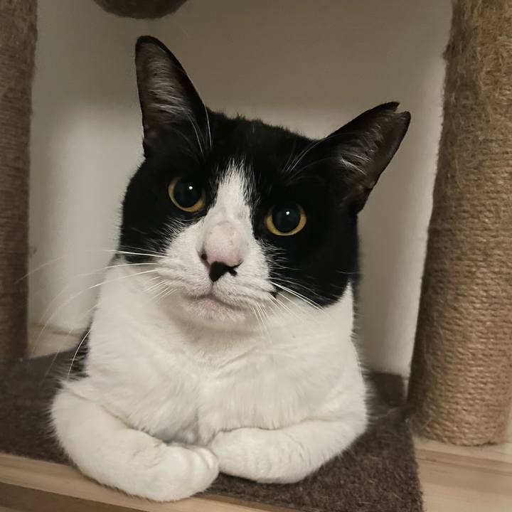 Dbd06d9a a062 48eb af6c f7fc5496b9fe 1700226678752