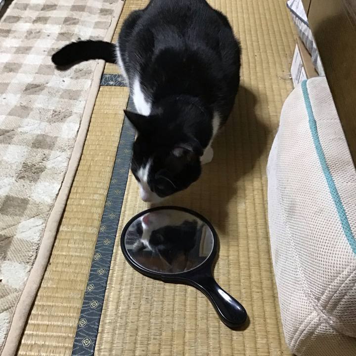 Dbd0766e 76e6 4d81 a259 45f7403cd40b 1731228920074