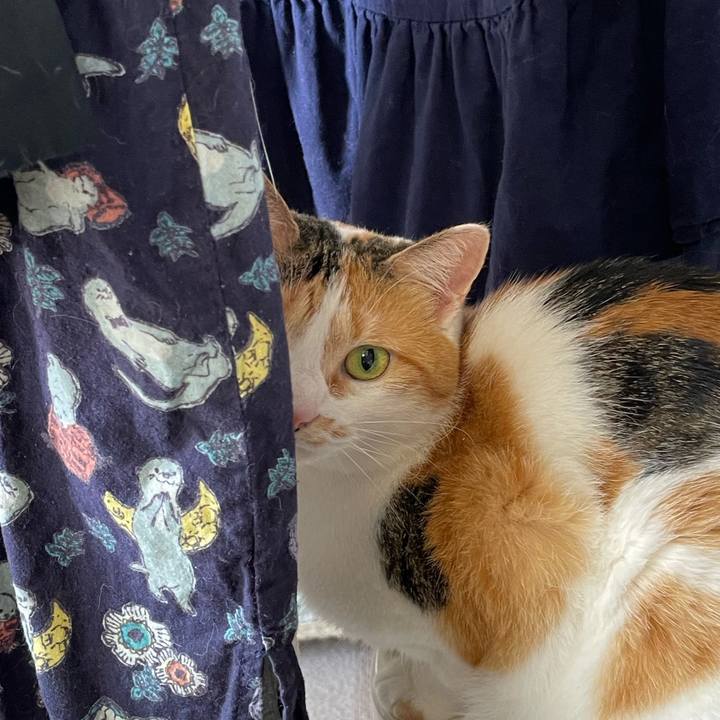 Dbd07e97 d914 4246 a0ba 3ff902002145 1655015079074