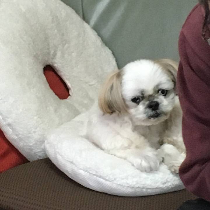 Dbd08c39 4e49 4d90 8a47 a177fb45c601 1609286118696