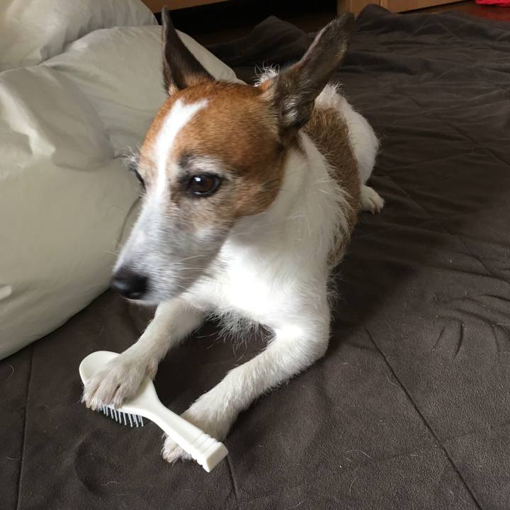 Dbd0b3c0 4ddf 40e0 8d9d 1cea9b4b078e 1563405198373