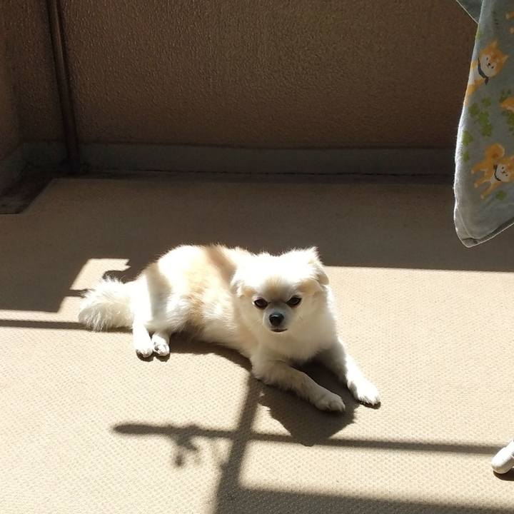 Dbd0c15f fff6 4686 a8b6 20187affeb9d 1724591142288